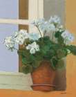 Creancey Geraniums II Light Art Print