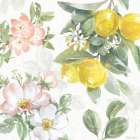 Citrus Charm V Art Print