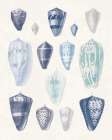 Blue Shell Assortment I Art Print