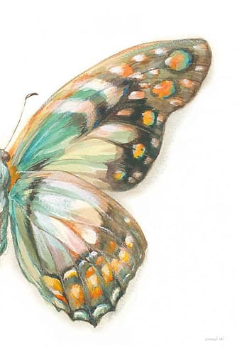 Fragile Wings II Nature Print