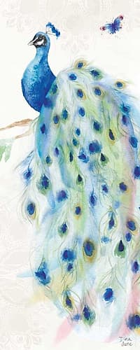 Peacock Glory III Animaux reproduction