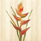 Tropical Garden I Art Print