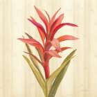 Tropical Garden III Art Print