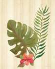 Tropical Garden V Art Print