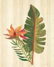 Tropical Garden VI Art Print