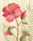 Tropical Garden XII Art Print