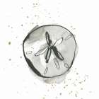 Sand Dollar II Art Print