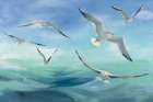Sea Flight Art Print
