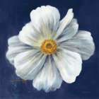 Boldest Bloom I Dark Blue Art Print