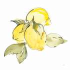 Lemons I Art Print
