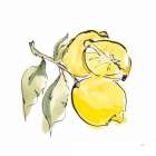 Lemon Still Life II Art Print