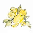 Lemon Still Life III Art Print