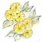 Cut Lemons II Art Print