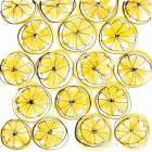 Cut Lemons IV Art Print