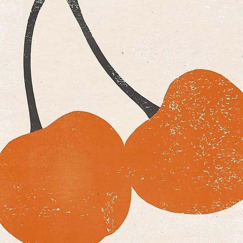 Graphic Fruit III Food Print
