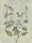 Sage Magnolia Art Print