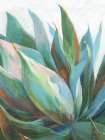 Agave Crop Art Print
