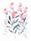 All the Protea Art Print