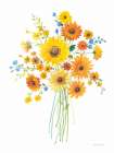Sunshine Bouquet I Art Print