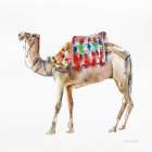 Desert Camel II Art Print