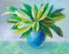 Plant Still Life Still Life Print