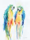 Colorful Parrots I Art Print