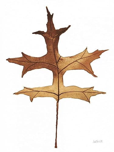 Colors of the Fall I Brown Nature Print