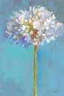Modern Floral III Art Print