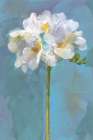 Modern Floral IV Art Print