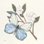 In the Garden Butterfly Art Print