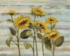 Cottage Sunflowers Art Print