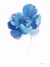 Bold Blooming IV Art Print