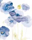 Delicate Poppies II Blue Art Print