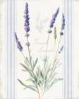 Floursack Lavender I Art Print
