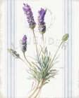 Floursack Lavender III Art Print
