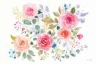 Lush Roses II Horizontal Art Print