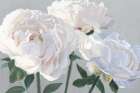 Essence of June I Gray Art Print