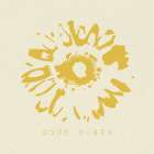 Fresh as a Daisy II Art Print