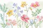 Peaceful Petals VI Art Print