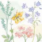 Peaceful Petals VII Art Print