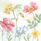 Peaceful Petals VIII Art Print