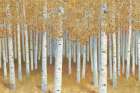 Forest of Gold Art Print