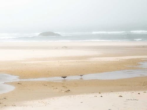 Cold Beach I Art Print