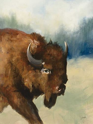 Spirit of the West III Art Print