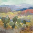 High Desert II Art Print