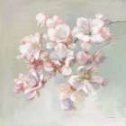 Sugar Magnolia Art Print