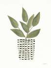 Herb Garden III Kitchen Print