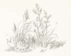 Farm Nostalgia Flowers VII Dark Gray Art Print