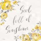 Sunny Roses VI Art Print