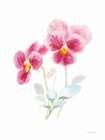 Color of Spring IV Art Print